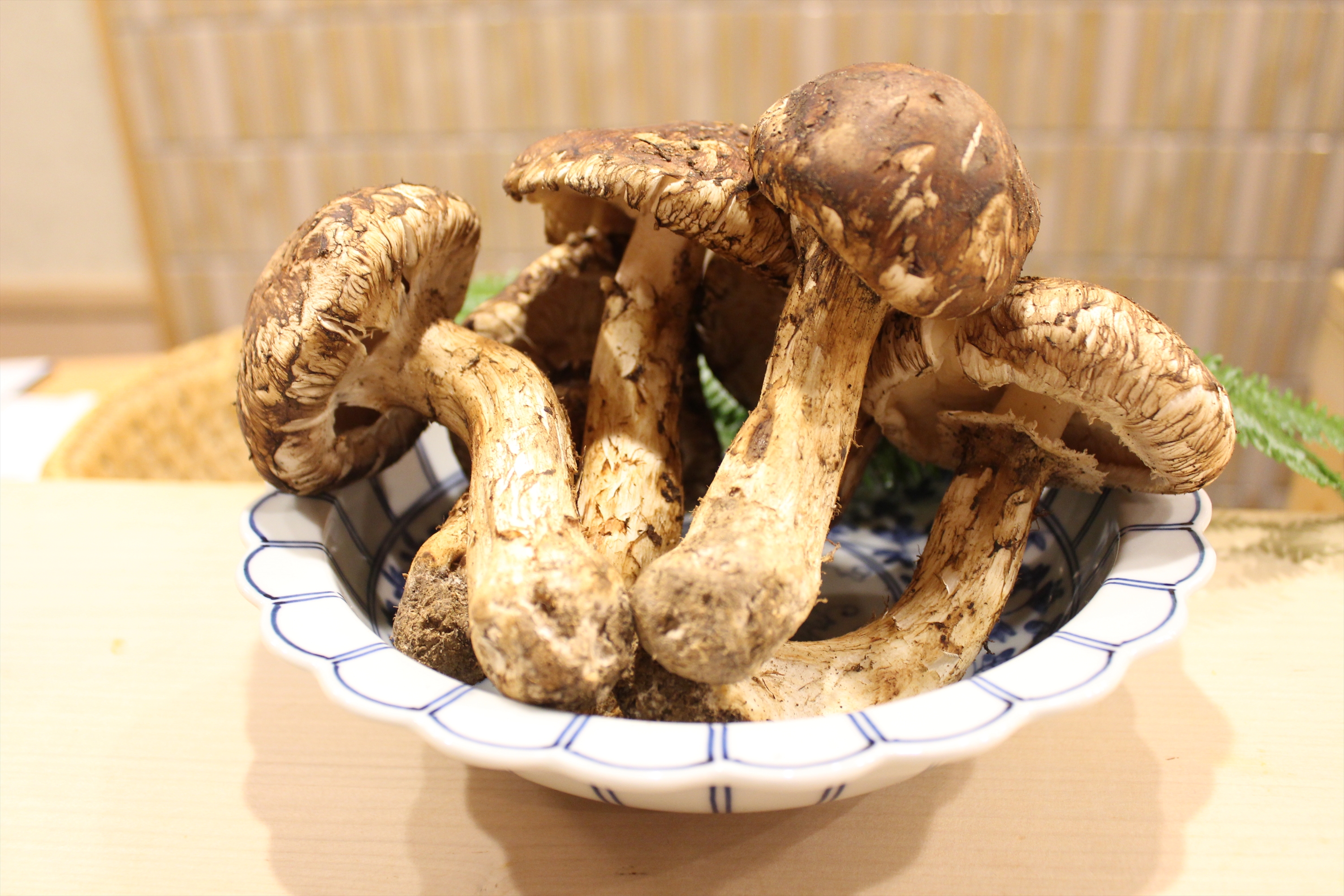 Images 寿司割烹ふじい