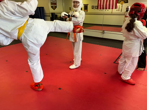 Images Jaguar Dojo