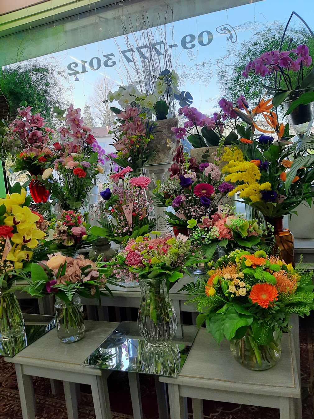 Images Tmi Kukkakauppa Kirsikankukka