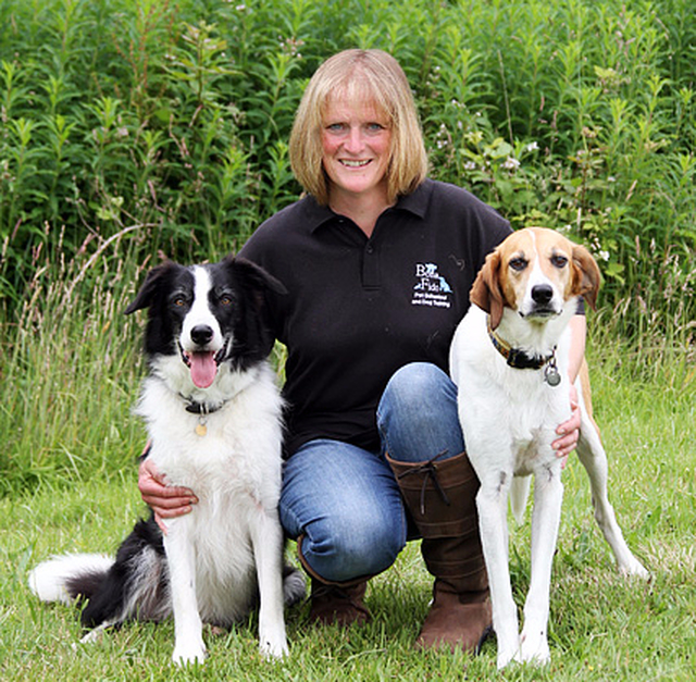 Bona Fido Pet Behaviour and Dog Training Launceston 01566 782366
