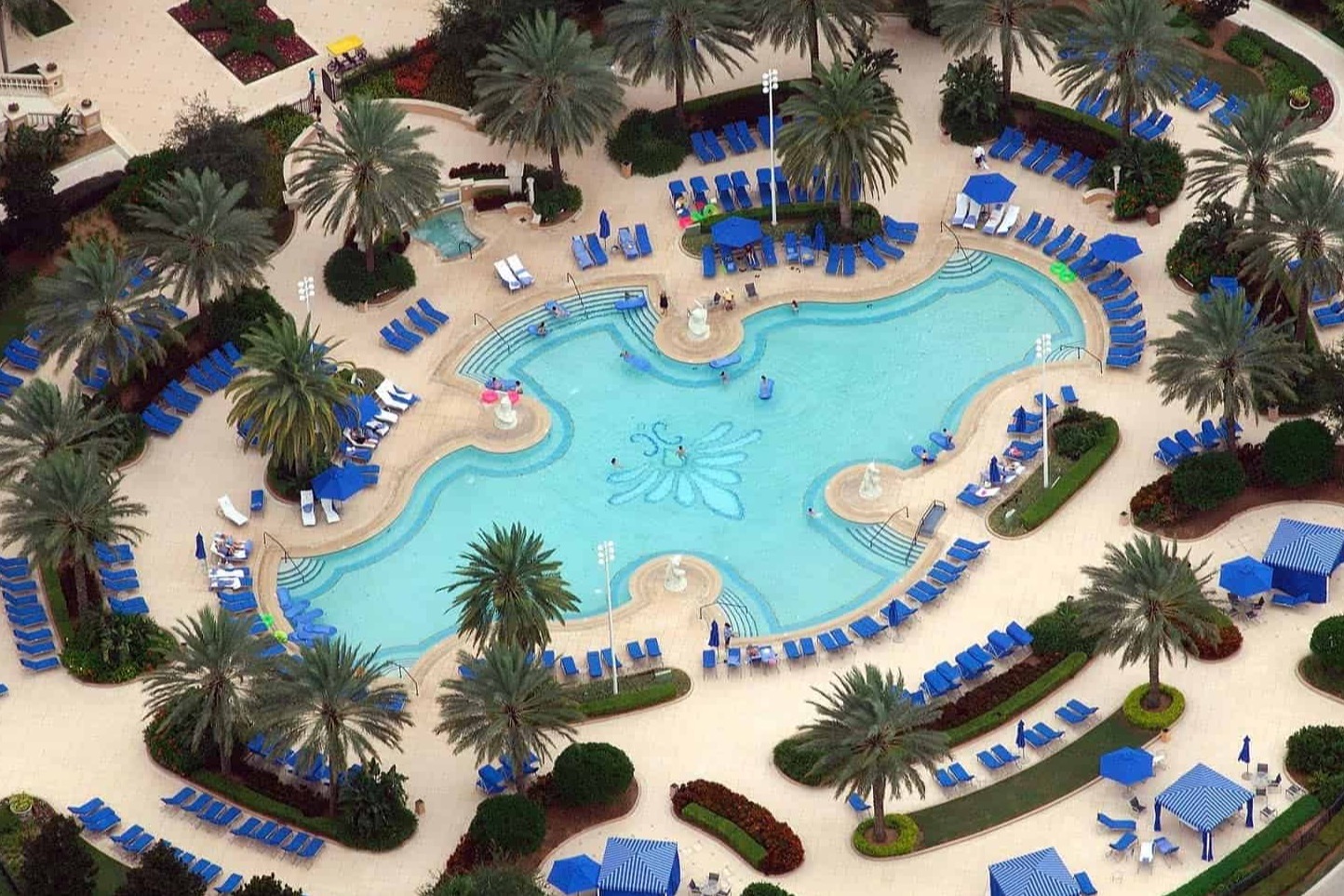 Aerial view of a resort-style pool with a curvy design surrounded by blue lounge chairs and umbrellas. Palm trees add a tropical feel.