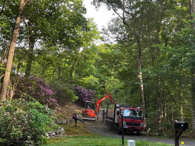 Images Kleber C Tree Service & Excavation