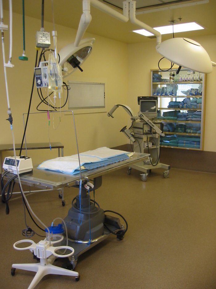 Image 8 | VCA Alameda East Veterinary Hospital