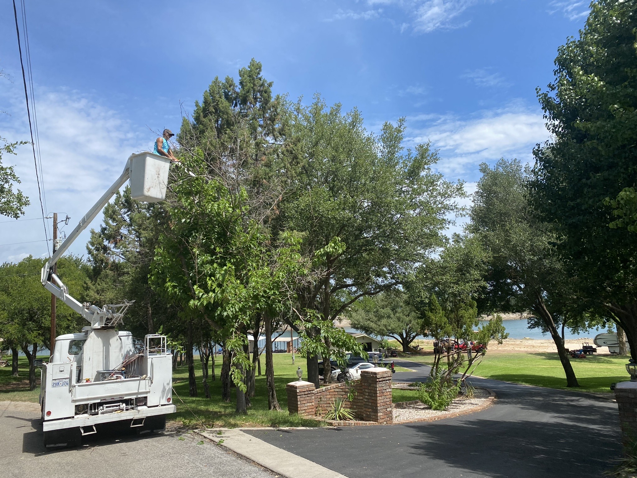 The Tree Doctor Highland Lakes Logo