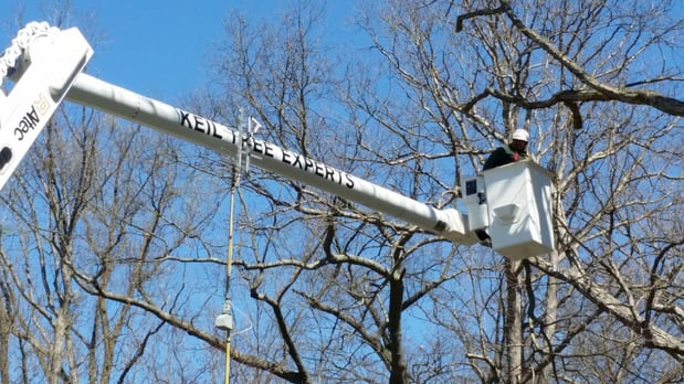 Images Keil Tree Experts Inc