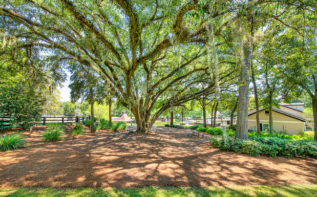 Images MAA Oak Grove