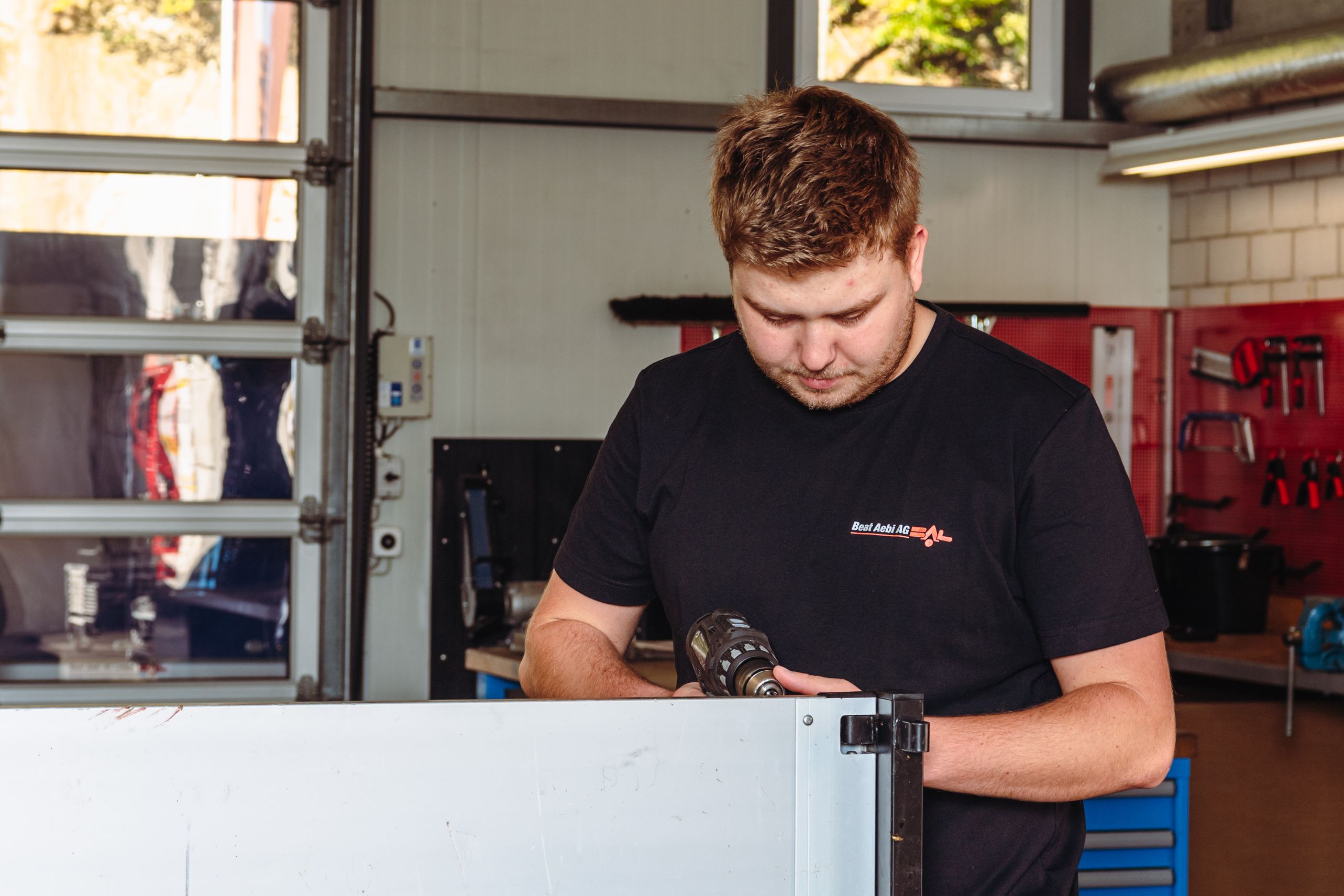 Bilder Aebi Beat AG