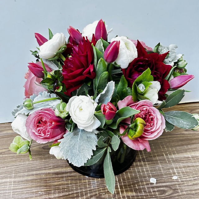 Images Jane's Roses & Flowers