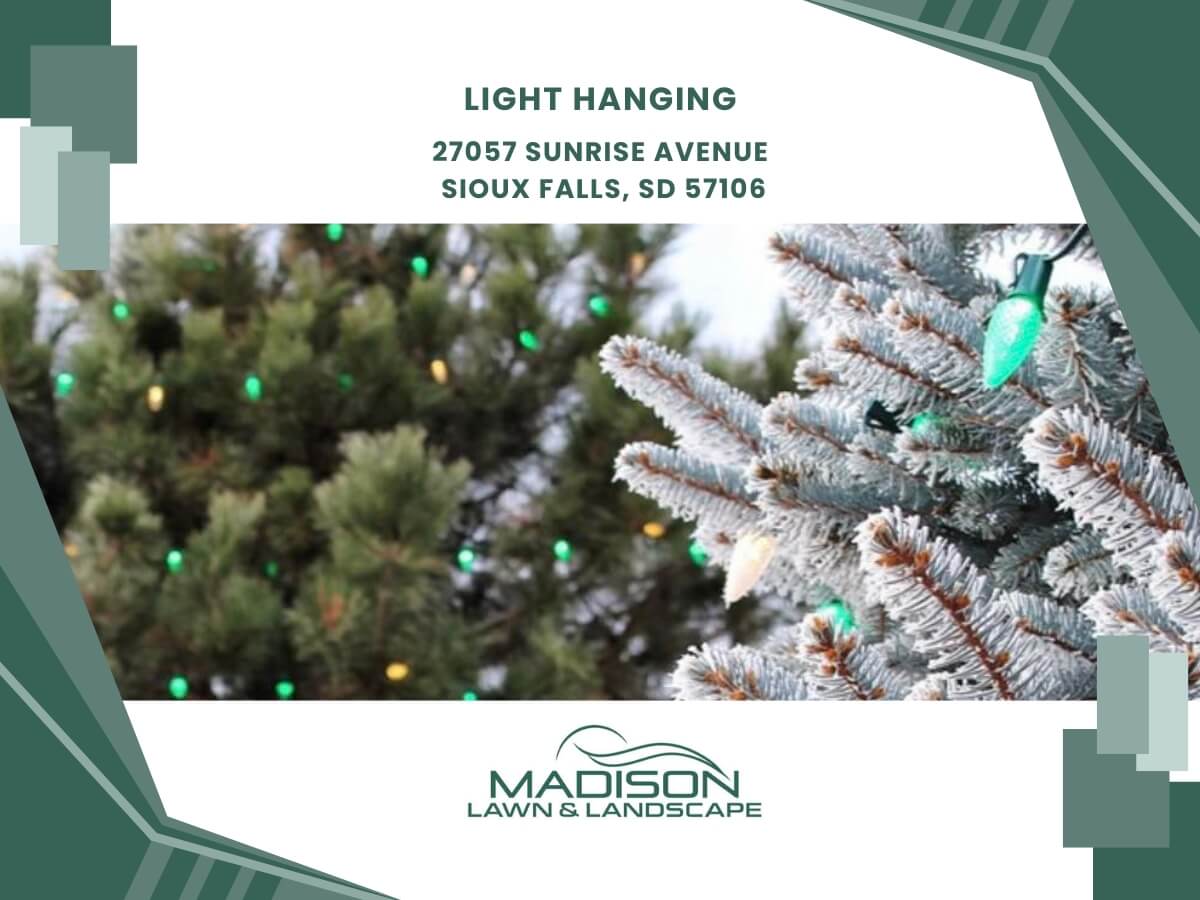 light hanging