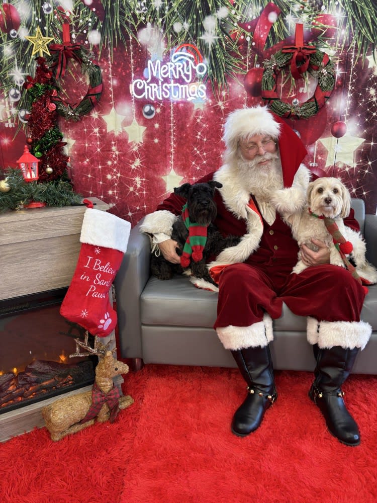 The Dog Stop - Katy Image