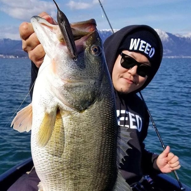 Images Copperstate Tackle