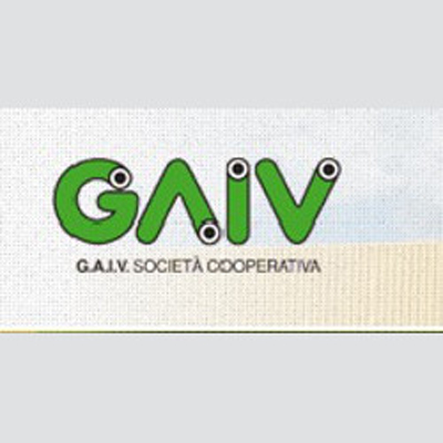 G.A.I.V. Logo