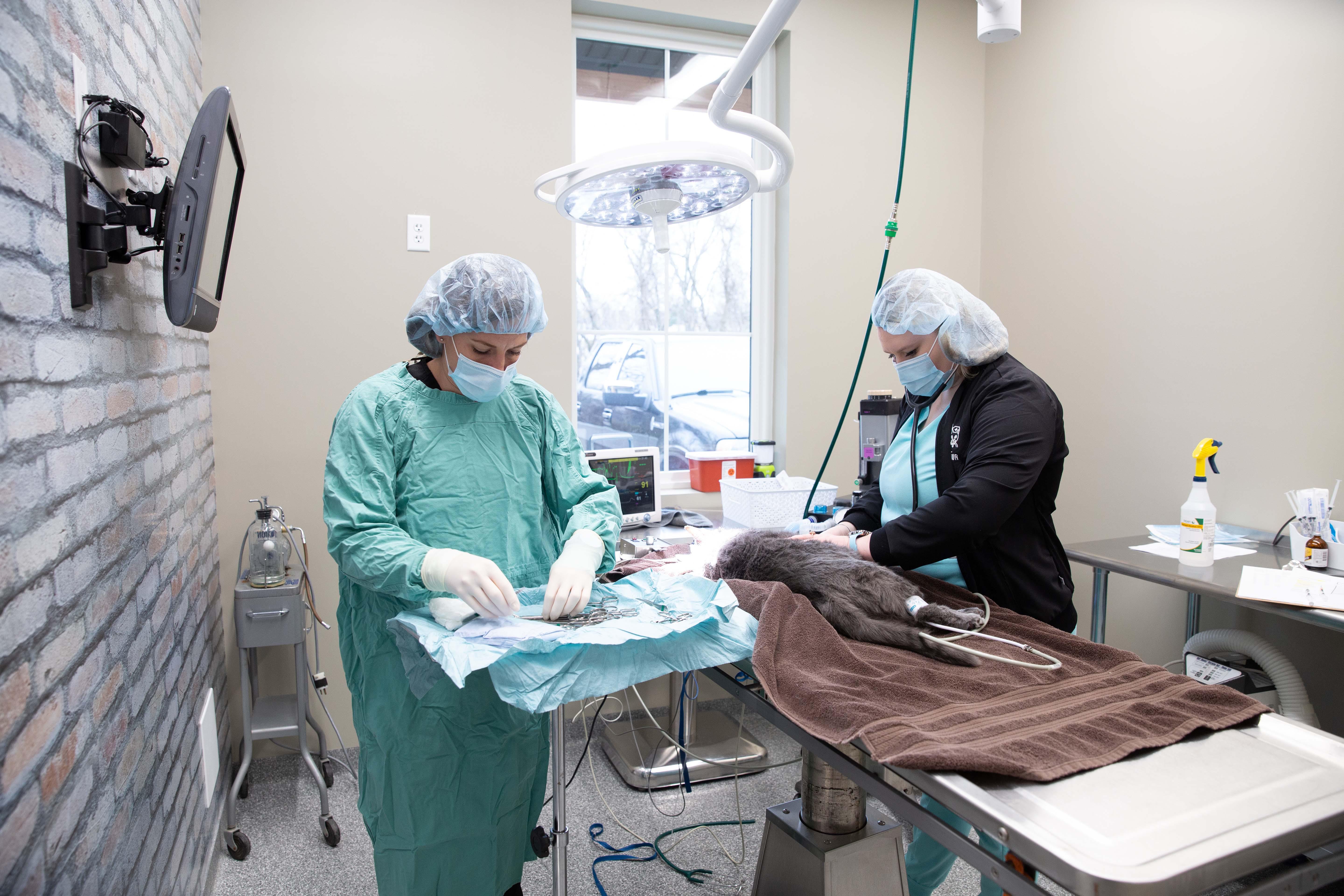 Our medical team is highly experienced in a wide range of surgical procedures.