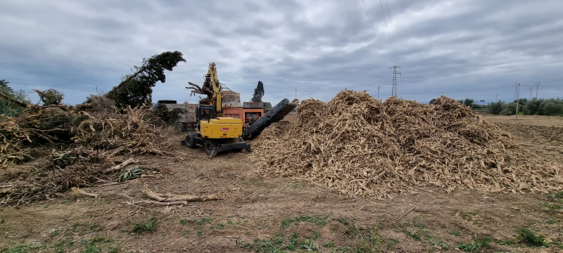 Images Trasporto acqua potabile "Alfio u chiattu"