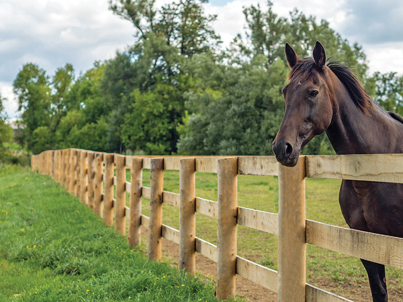Images Superior Fence & Rail