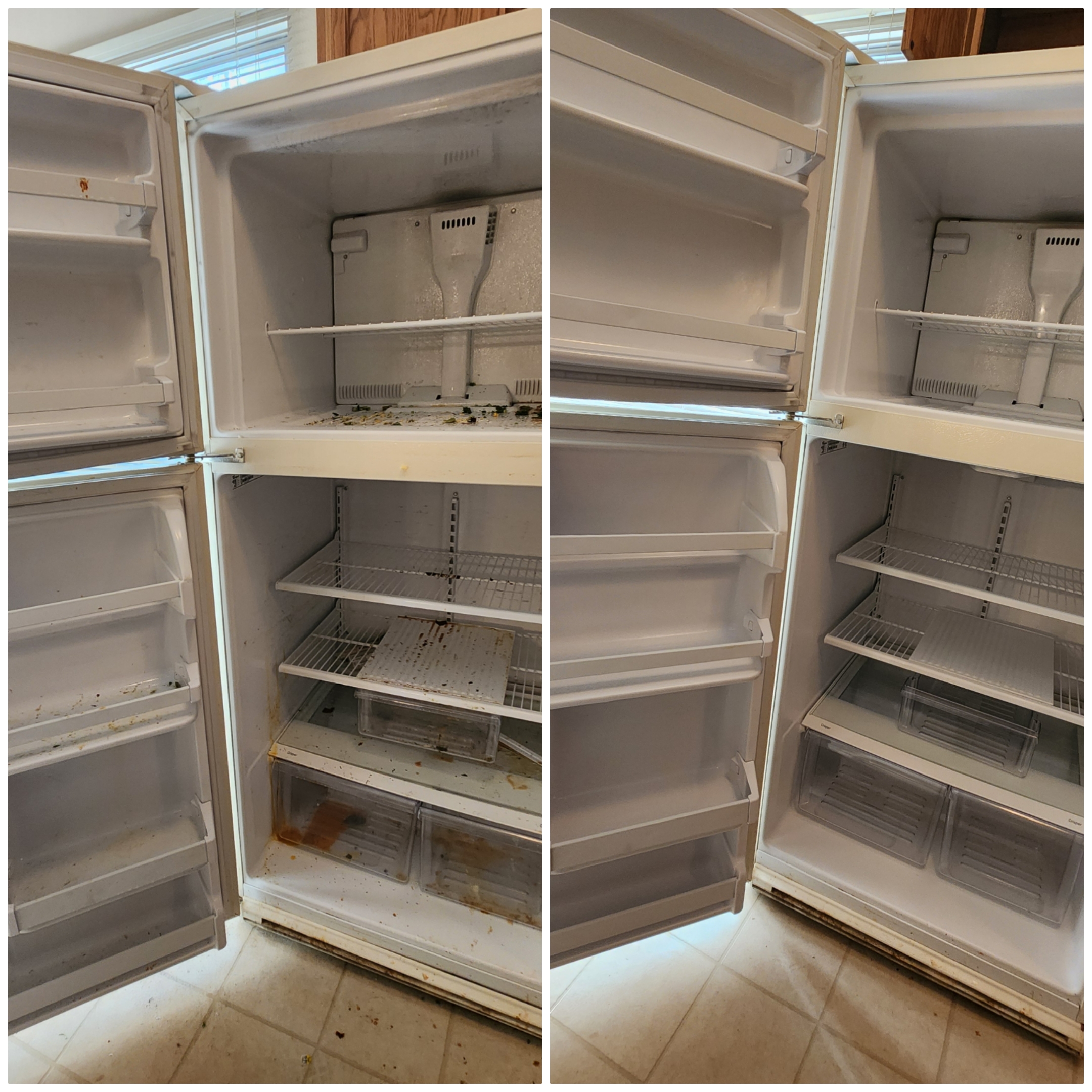 Bella Shine Cleaning Services LLC Image