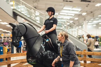Horse Simulator