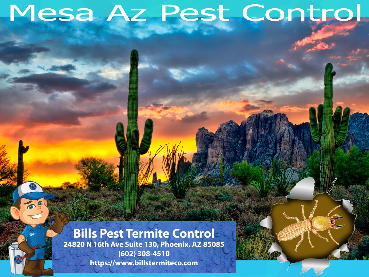 Bills Pest Termite Control Mesa Az Image