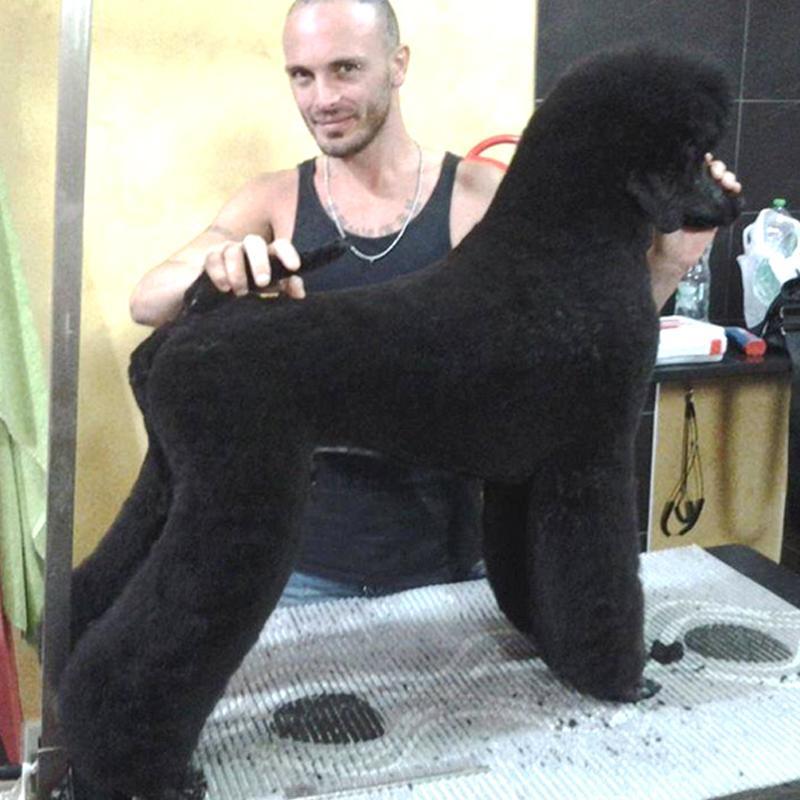 Images Toelettatura Salandra Francesco