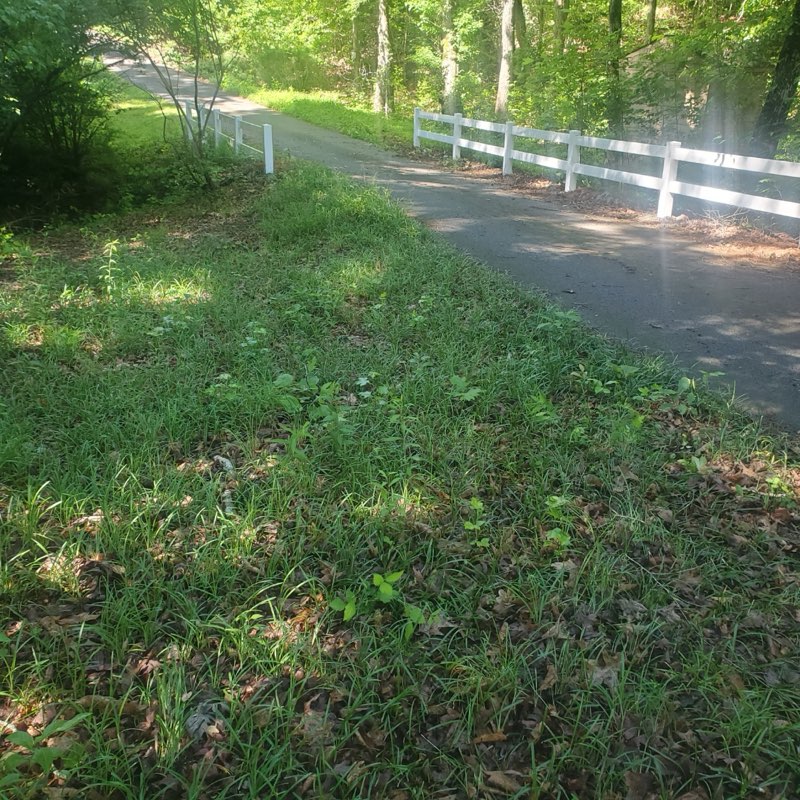 Images Superior Fence & Rail