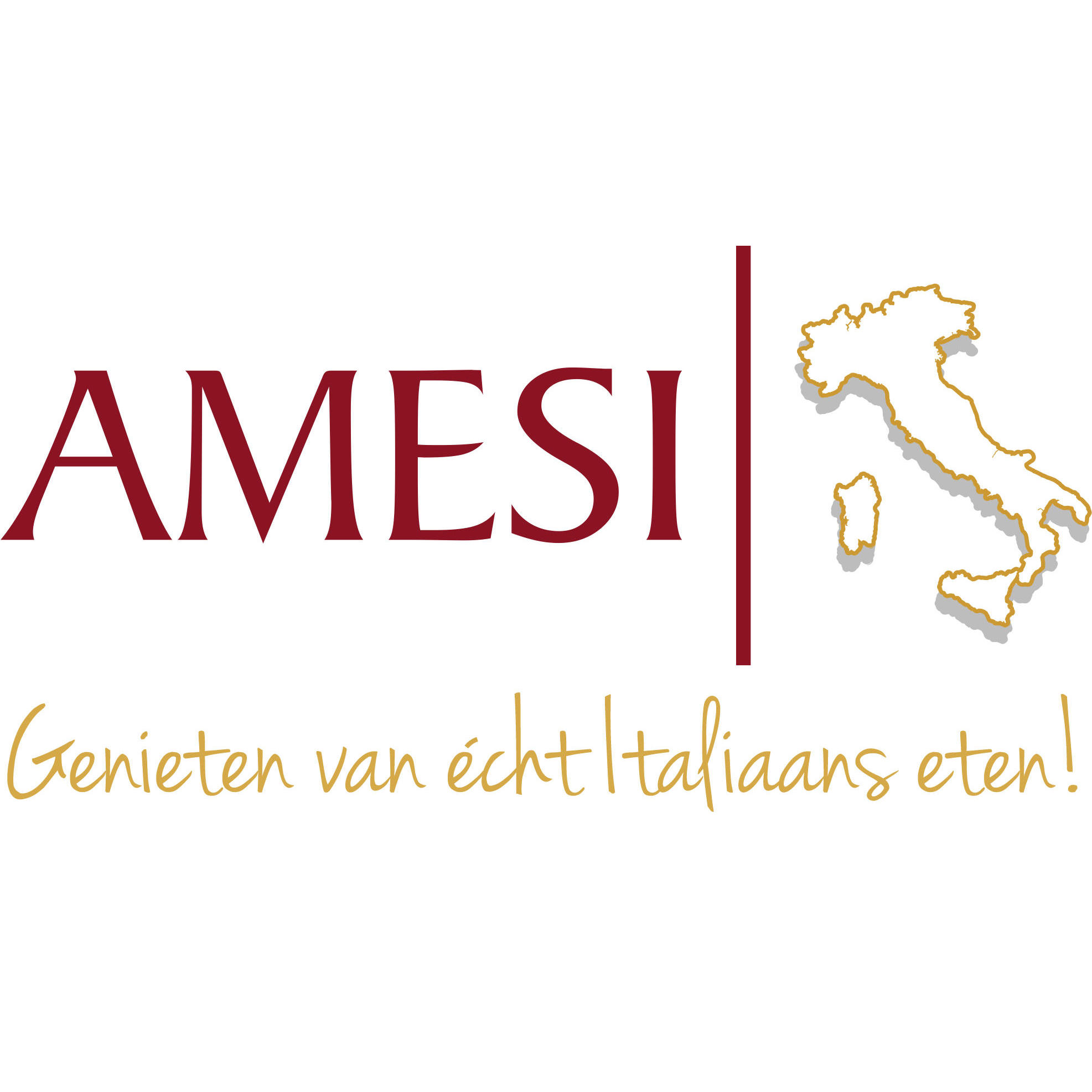 Amesi Logo