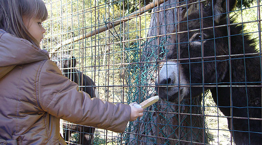 Images Ristorante Sbeghen