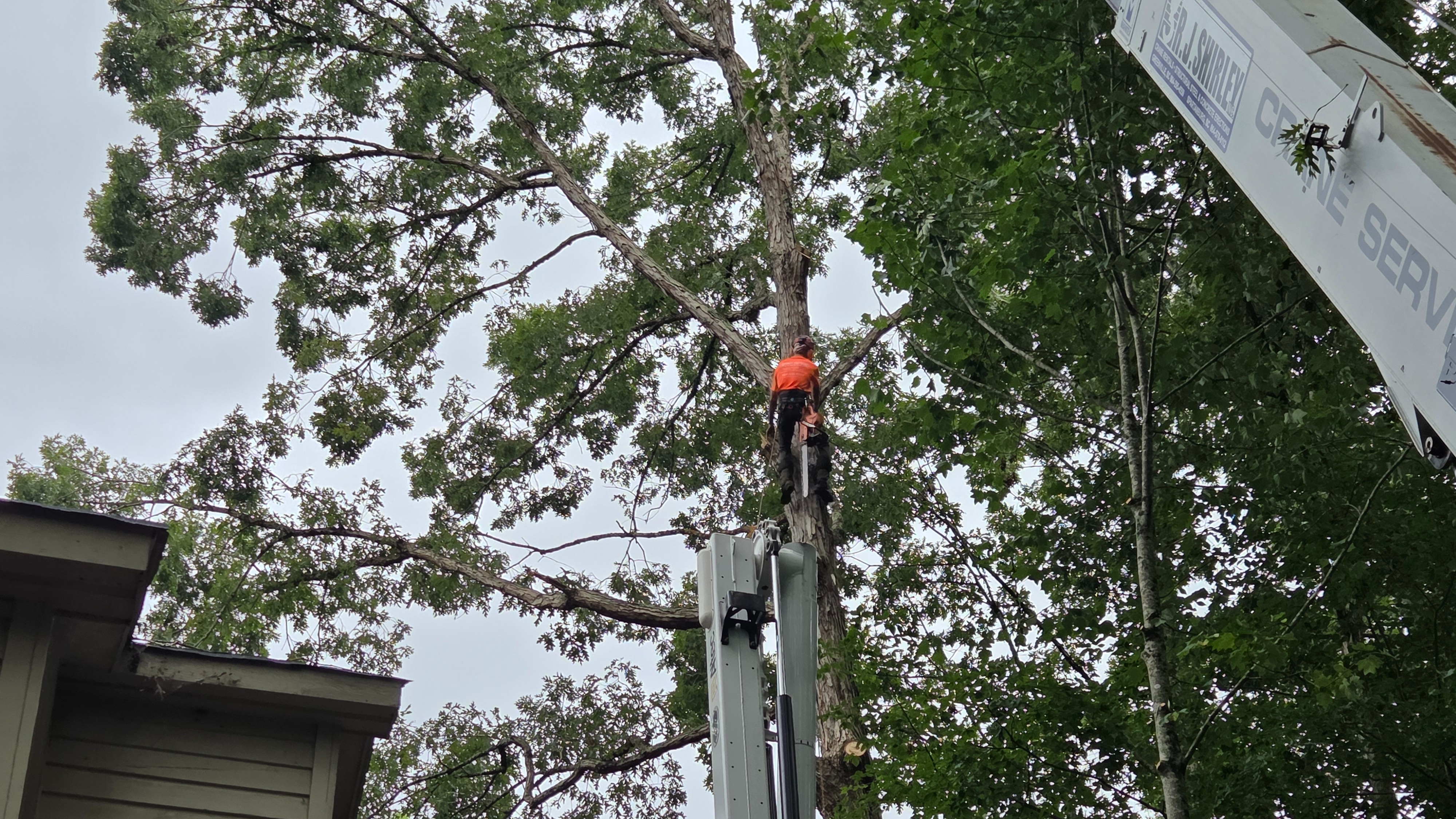 Branch Brothers of Greenville Image