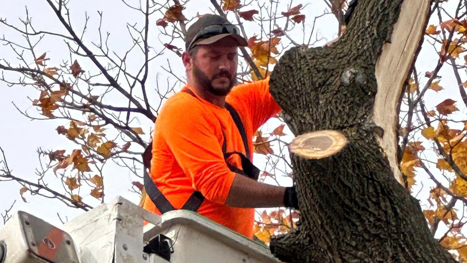 S&P Tree Professionals is your trusted local tree service provider, serving the community with pride. Our team understands the unique needs of the area, and our commitment to quality and customer satisfaction sets us apart. Count on us for prompt and professional tree care solutions to meet your specific requirements.