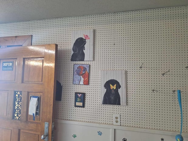 Images Pet Palace