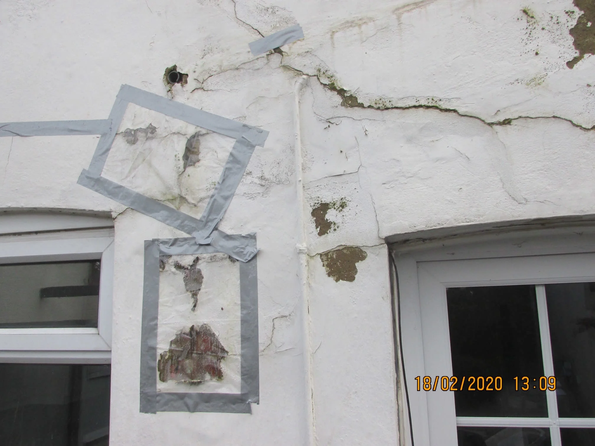 Images Damp Detectives