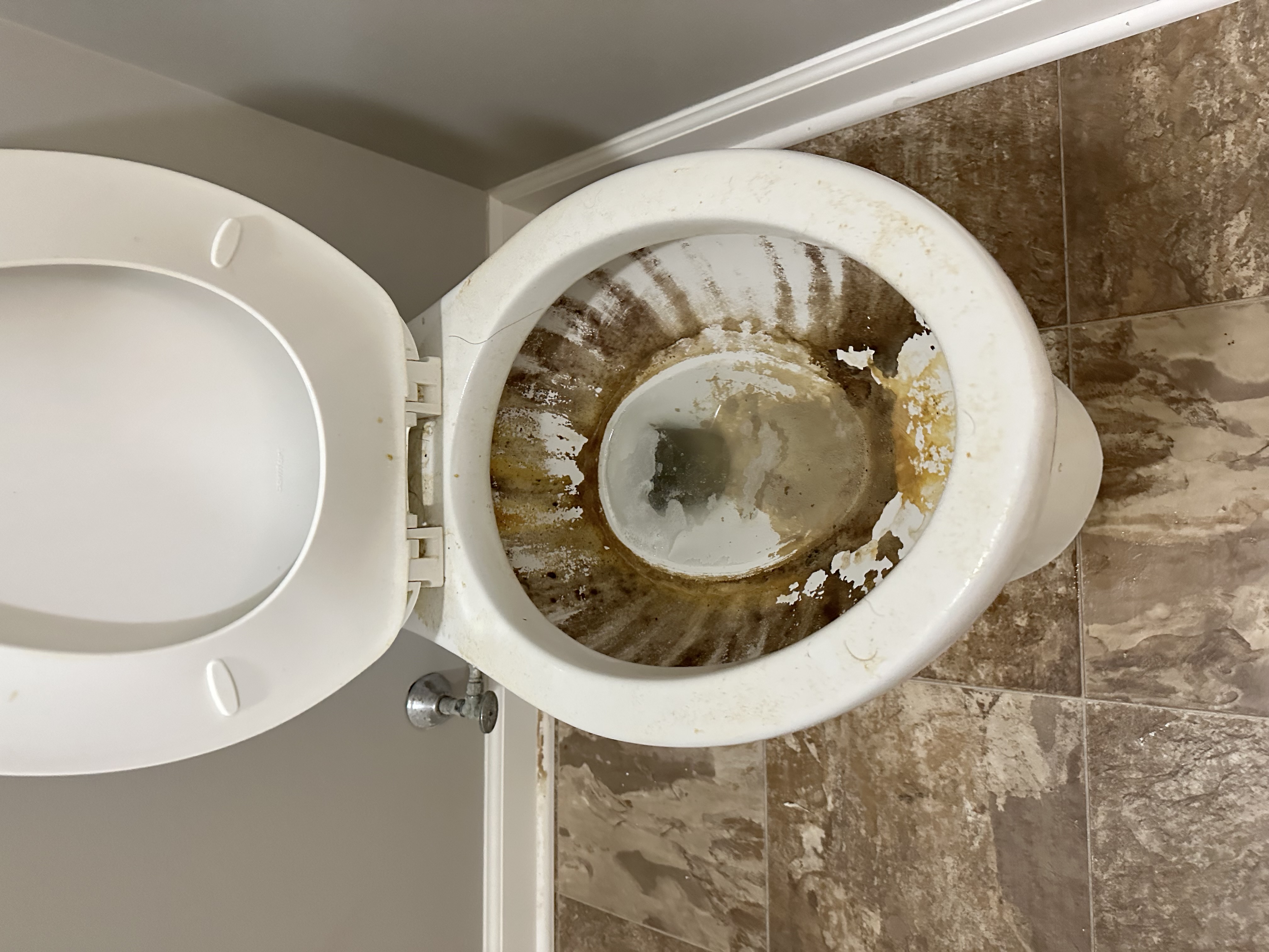 Stoltzfus Cleaning LLC Image