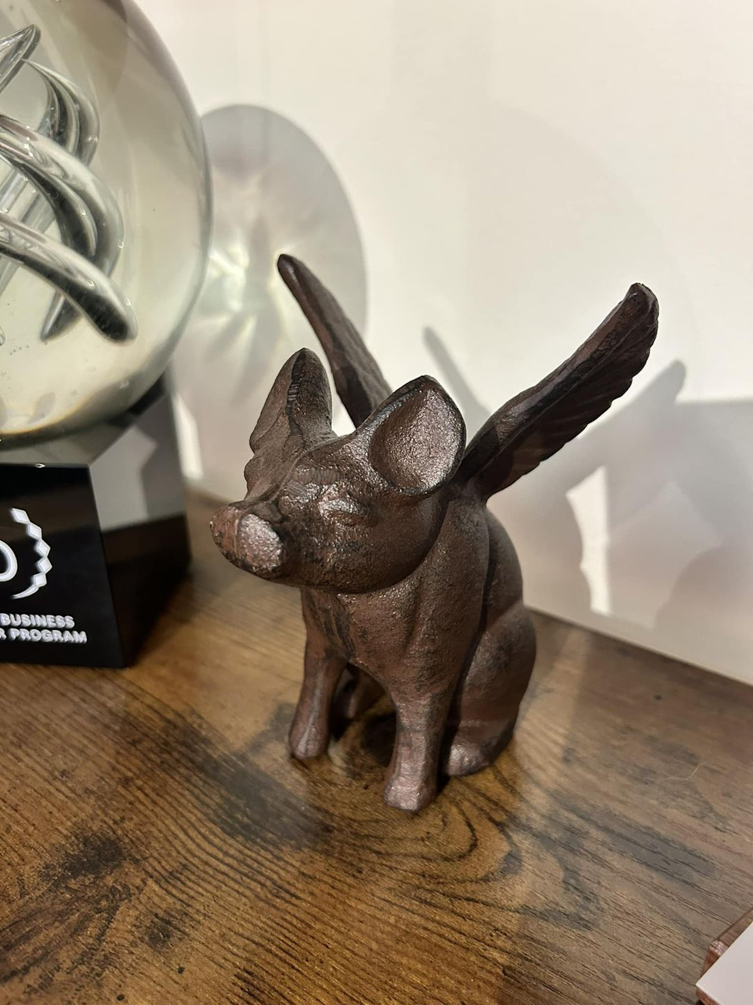 This flying pig, my favorite office keepsake, symbolizes the persistent challenges we overcome to achieve success. When opening our office in April 2020, insurance agents cautioned me about Vermont's unique demographics and competitive market. Undeterred, I recognized success hinges on mindset, drive, continuous improvement, and team quality. We have since earned esteemed awards, surpassed milestones, and elevated performance standards. While accomplishments have shifted my focus, our objectives remain unchanged. My fulfillment now comes from fostering team growth, collaboratively setting goals, and exceeding them. Ultimately, only you can define your and your team's capabilities. Never let anyone tell you differently.