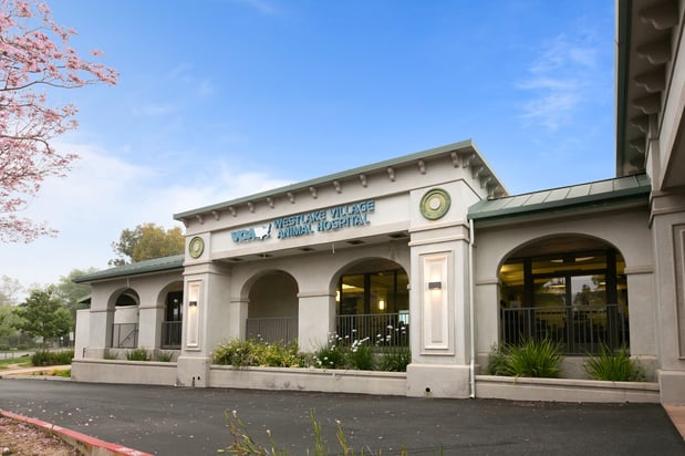 Images VCA Westlake Village Animal Hospital