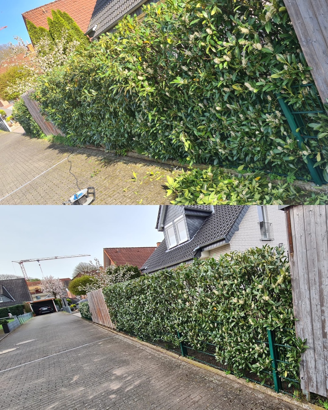 Sima Reinigungsdienst&Gartenpflege, Friedrichsdorfer Straße 88 in Gütersloh