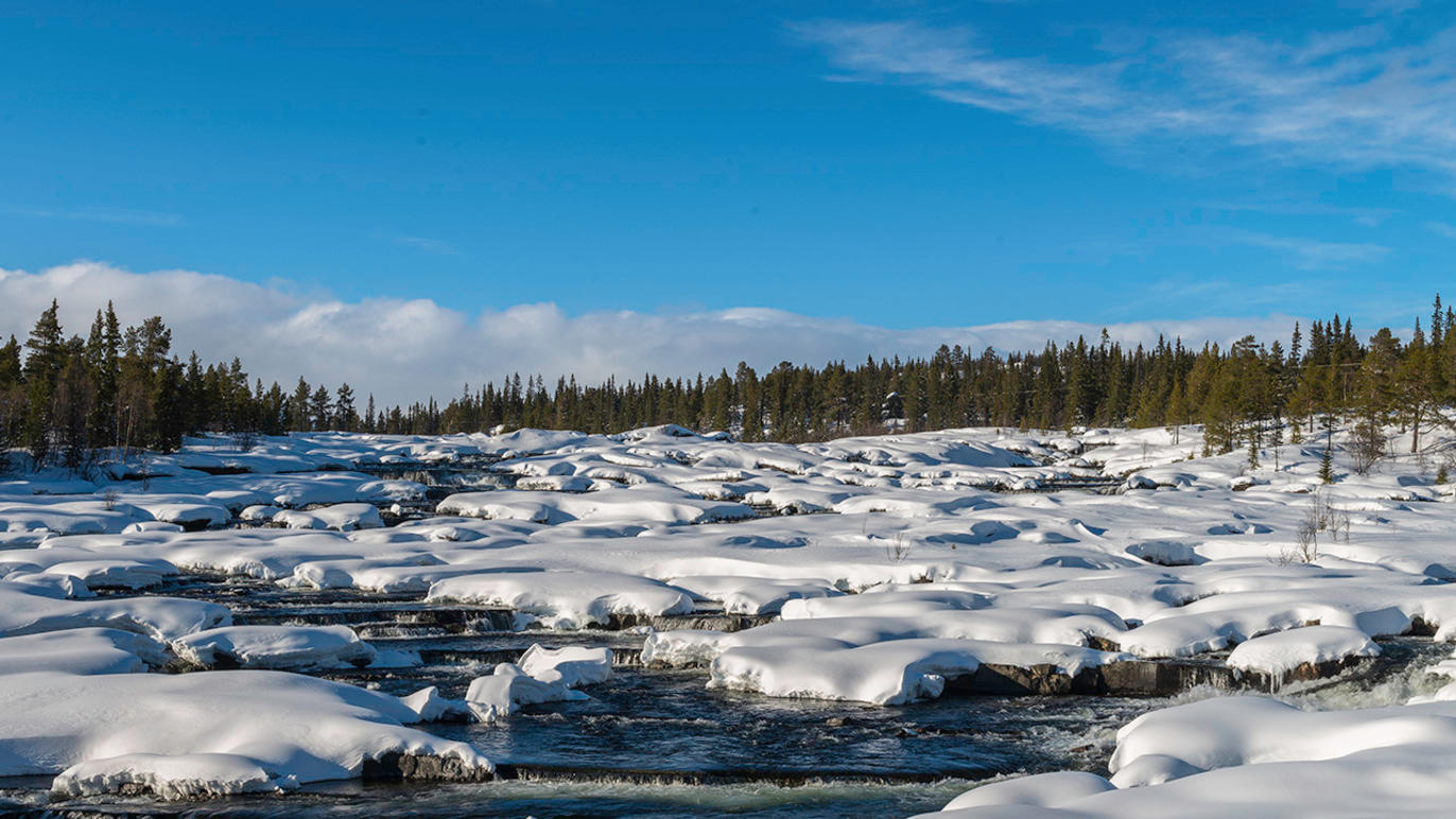 Images Dj Foto och Video - Fotograf Umeå