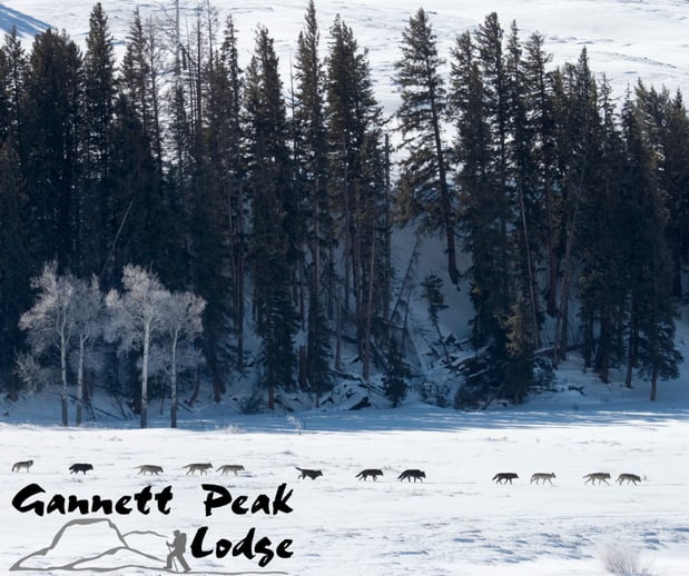 Images Gannett Peak Lodge