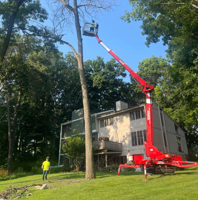 Woodman's Tree Service Image