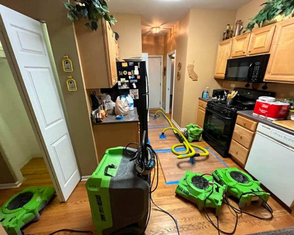 SERVPRO of Park Ridge, North Rosemont, and South Des Plaines can handle water damage. Call us now to book your appointment!