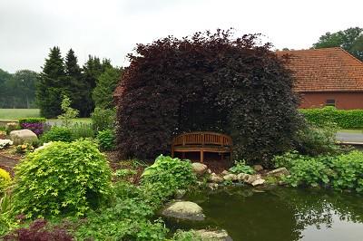 Bilder Wilhelm Kruse Baumschule