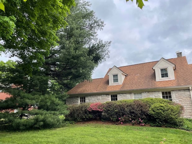 Images Perennial Dental