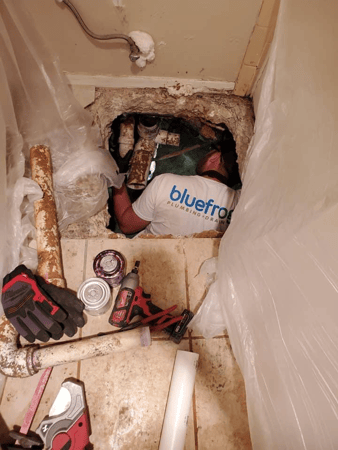 Images bluefrog Plumbing and Drain of North Phoenix