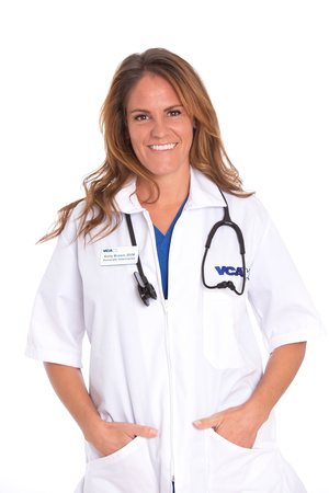 Images VCA Becker Animal Hospital and Pet Resort