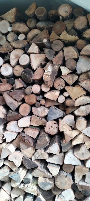 Images Mr Wood di Alessandro Castelli