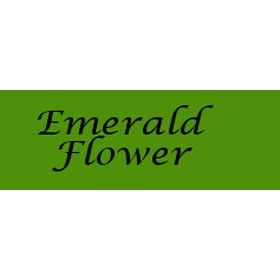 Emerald Flower - Fioreria Logo