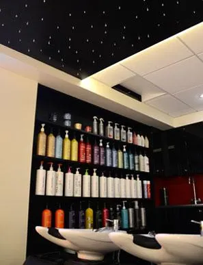Images Hair Concepts