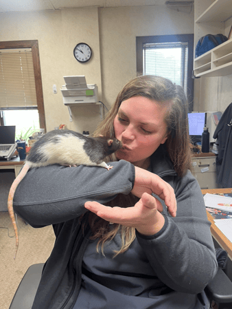 Images VCA Associates in Pet Care Animal Hospital
