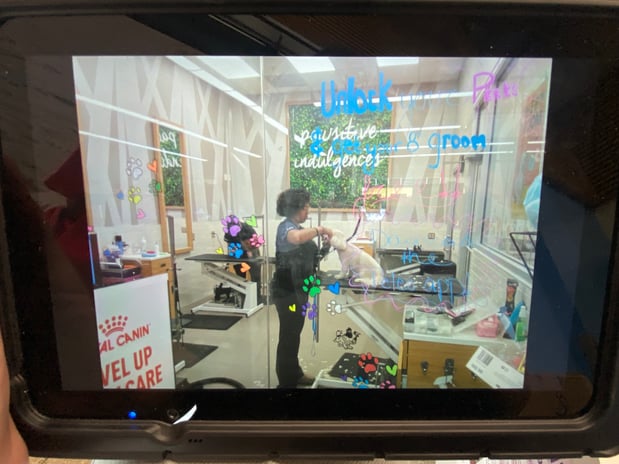 Images Petco Grooming