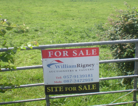 William Rigney Auctioneering 9