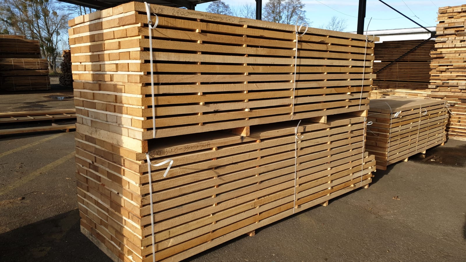 Images Maesmi Maderas