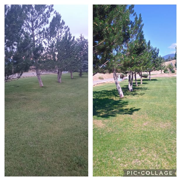 Images HJ Property Care & Tree Service